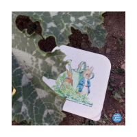 Pieter Konijn set van 3 lunchdoosjes